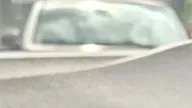 BYD Dolphin Mini - Miniatura 10