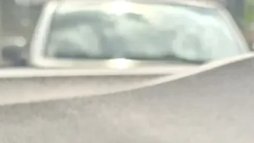 BYD Dolphin Mini - Imagem 10