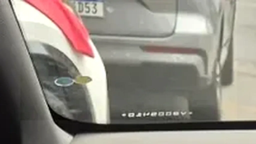 BYD Dolphin Mini - Imagem 13
