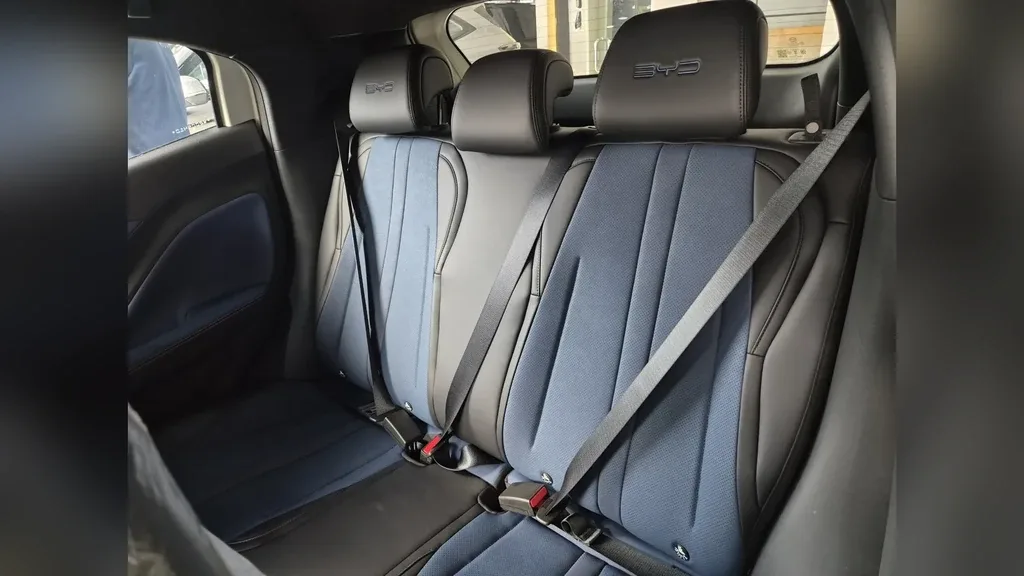 BYD Dolphin Mini - Imagem 18