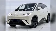 BYD Dolphin Mini - Miniatura 19