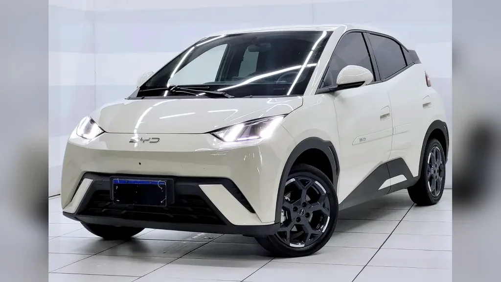 BYD Dolphin Mini - Imagem 19
