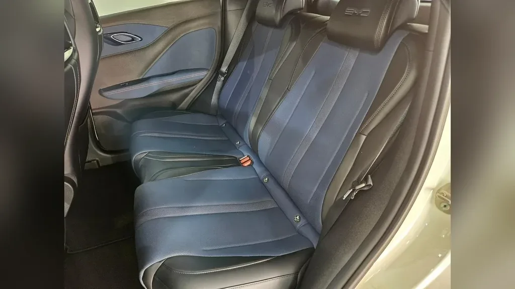BYD Dolphin Mini - Imagem 11