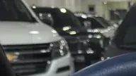 BYD Dolphin Mini - Miniatura 8