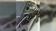 BYD Dolphin Mini - Miniatura 19