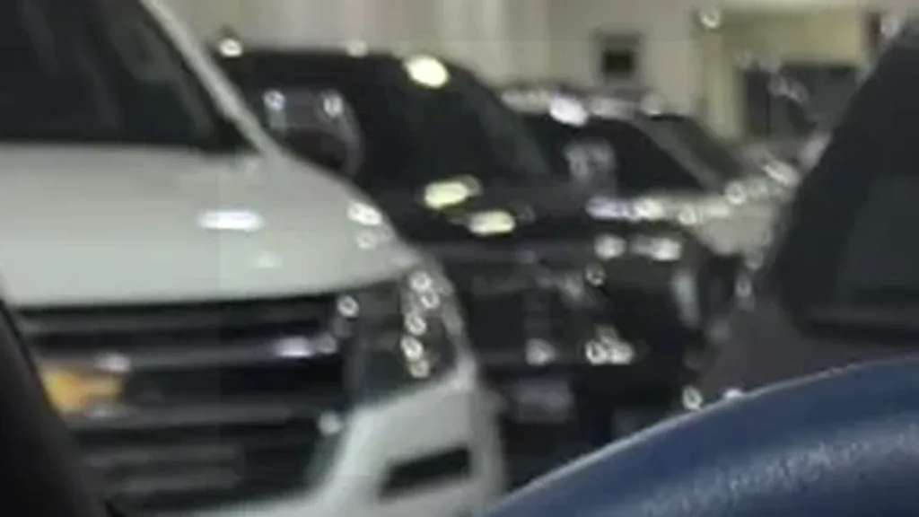 BYD Dolphin Mini - Imagem 8