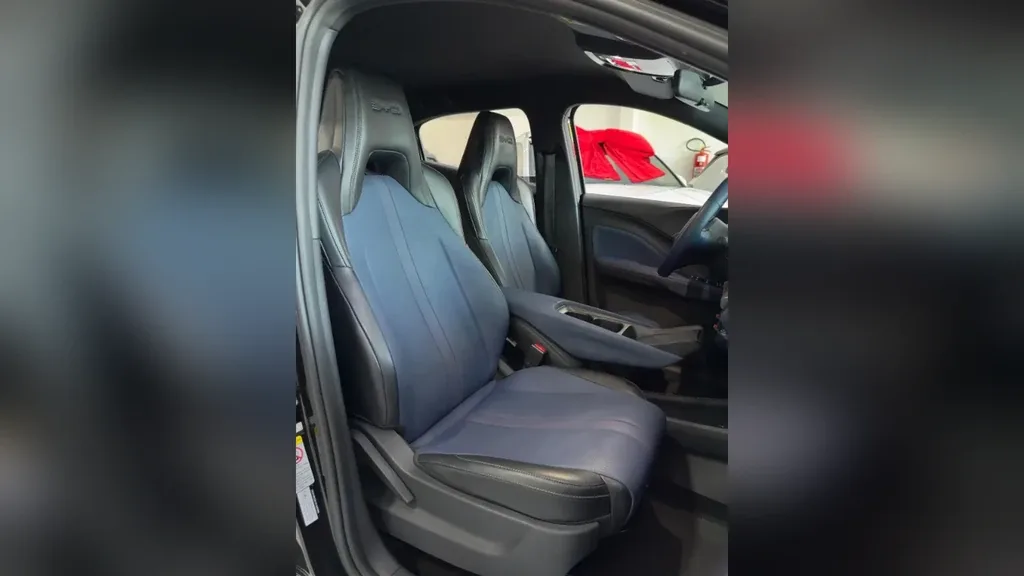 BYD Dolphin Mini - Imagem 11
