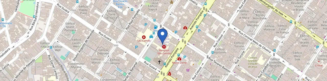 Mapa da estação Hospital São Camilo - Unidade Pompeia